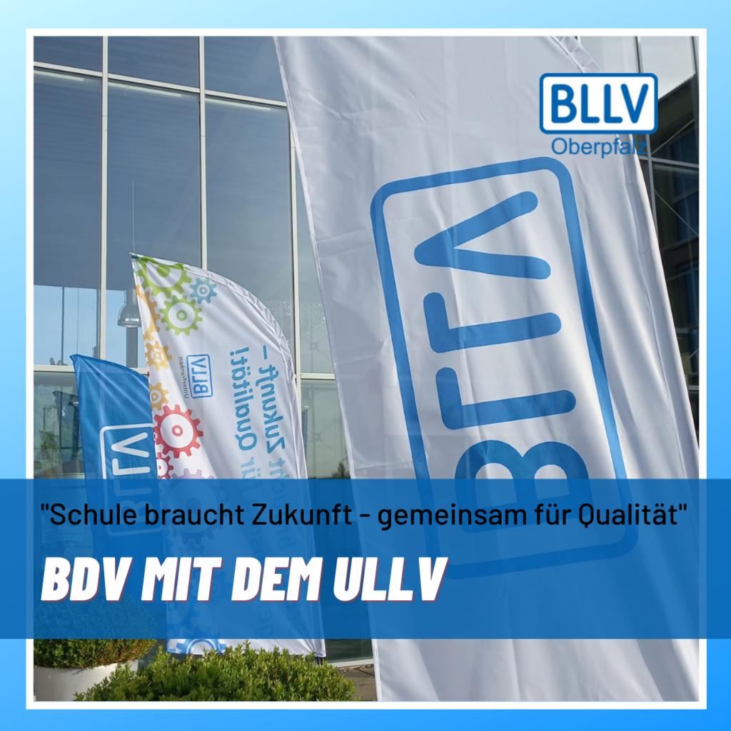 BDVULLV1.png