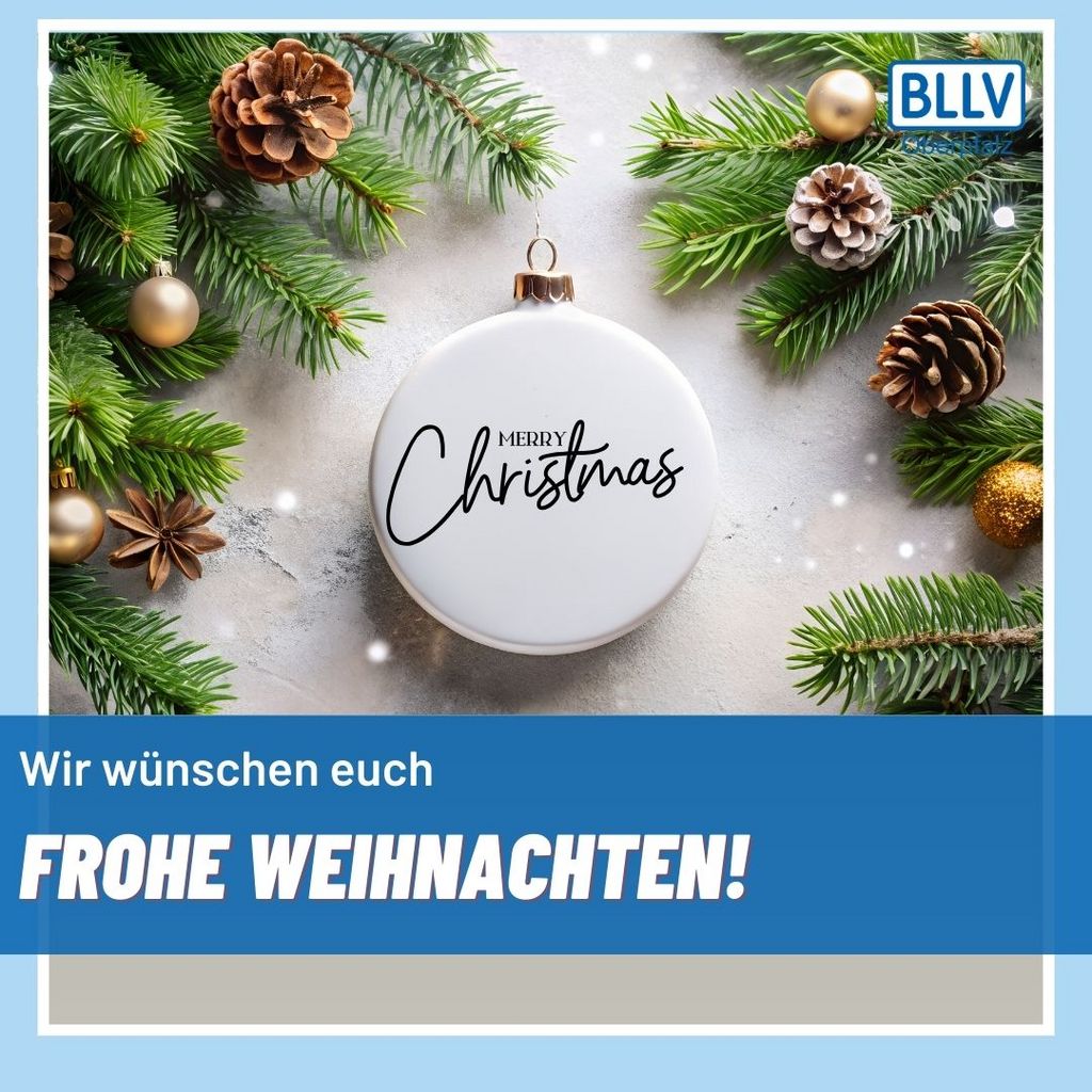 FrohWeihnachtenBezirk.jpg