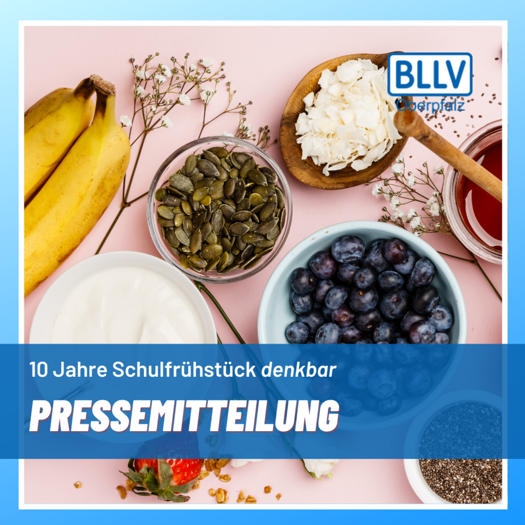 Pressemitteilung_Schulfruehstuecksinitiative_denkbar.png